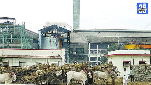 Sugar Industry 