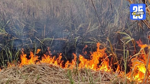 Crop Residue Management
