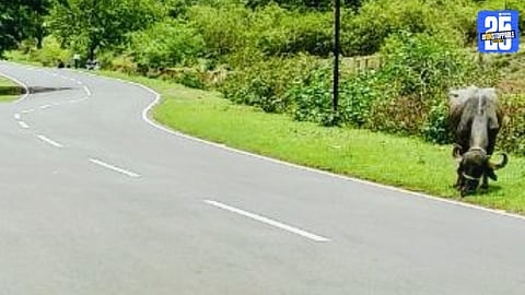 Ghoti-Jawhar highway