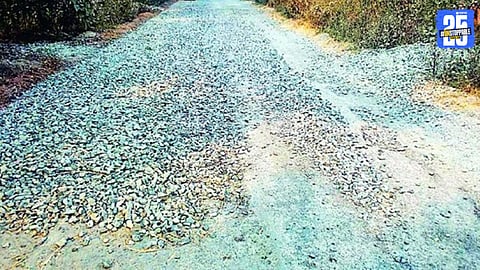 Dindori News 