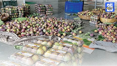 anjeer fruit