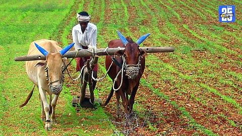 Farmer Justice