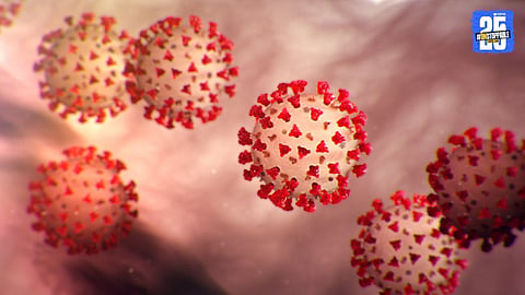 coronavirus