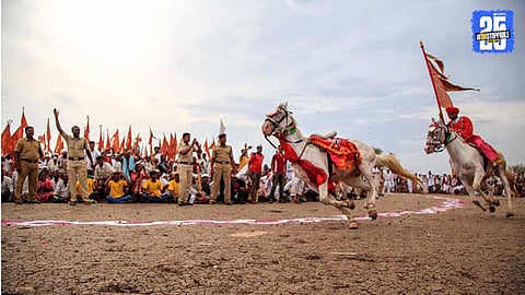 mauli horse