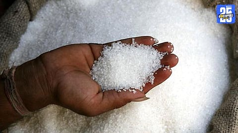 Sugar Production 