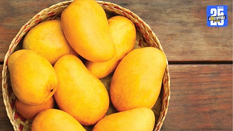 Mango Season 