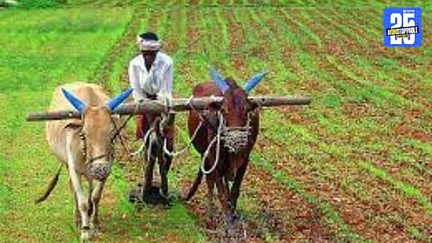 Agriculture