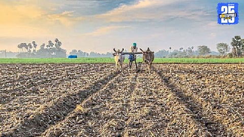 Akot Farmer 
