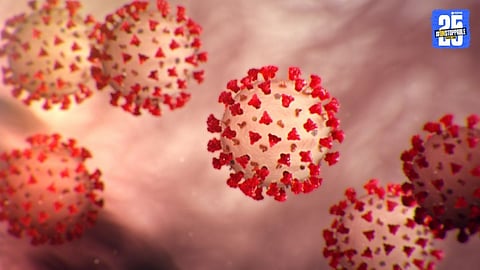 coronavirus