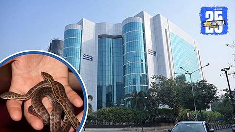 Baby Python found in Mumbai BKC