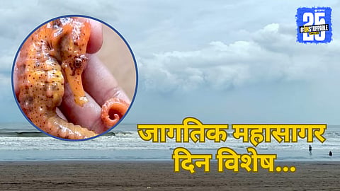 World Oceans Day