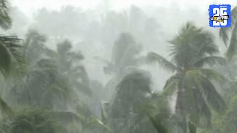 Ahilyanagar Monsoon