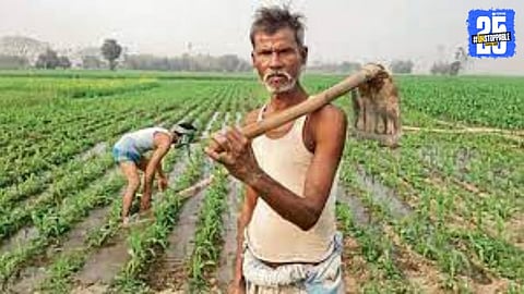 Krushi Samruddhi Yojana 