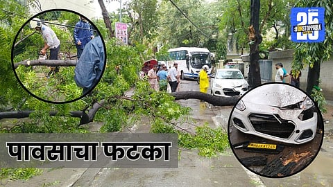 tree collapsed due to rain in Mumbai