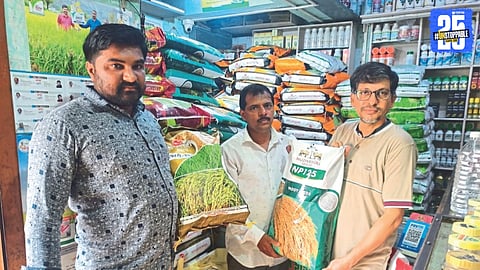 Rice Seed Supply