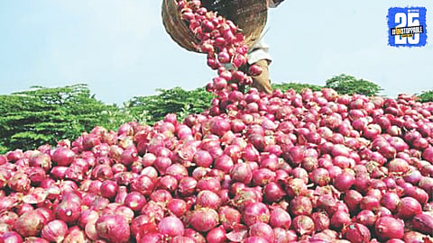 Onion Production