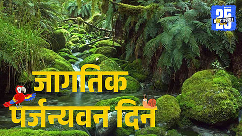 World Rainforest Day