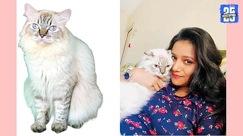 jui gadkari with cat
