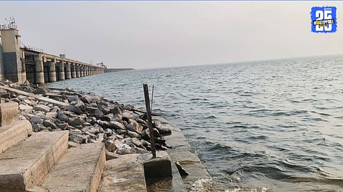 Nathsagar Dam