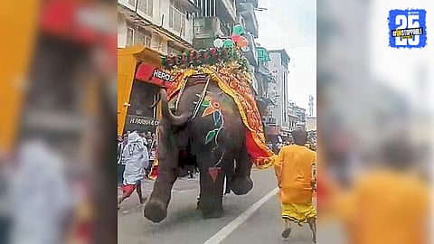 Ahmedabad Rathyatra 