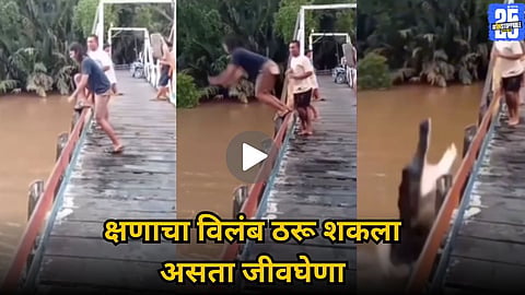Crocodile Attacks Viral Video Will Shock You