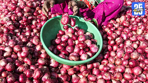 Indian Onion Export