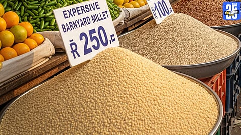 Bhagar Price 