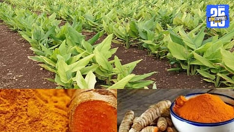 Turmeric Research Center 