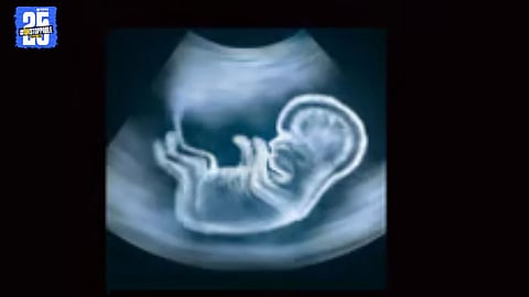 "No treatment, no justice — Doctor booked after tragic death of mother and newborn in hospital negligence case."