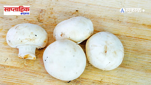 health benifit of mashroom