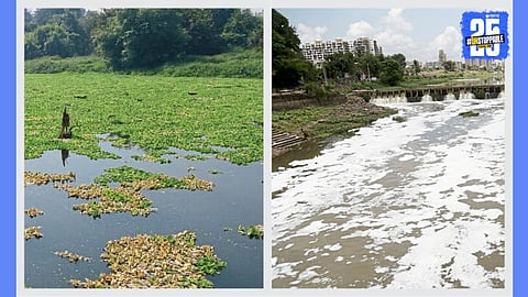 Indrayani River pollution