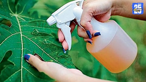 Fake Pesticides