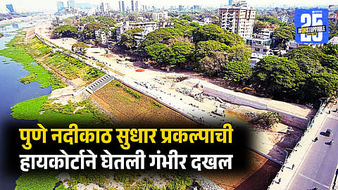 High Court Questions Tree Felling in Pune Project | Grants Citizens Right to Challenge Future Violations