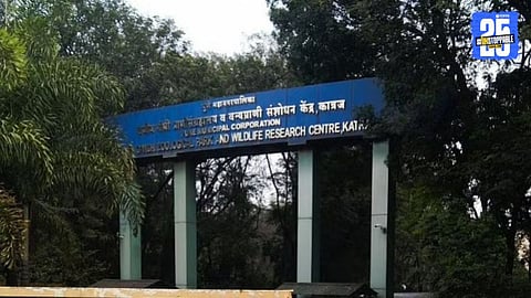 Katraj Zoo 