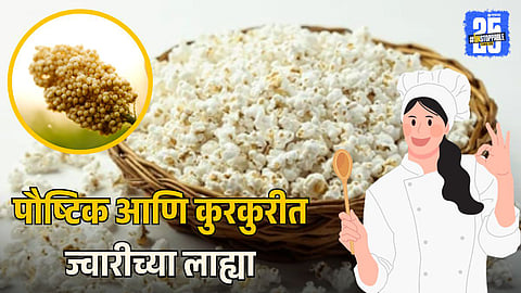 Healthy Jowari Lahya