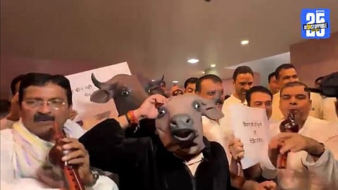 Congress MLAs dressed as buffaloes while colleagues played flutes during a symbolic protest outside the Madhya Pradesh Assembly, highlighting farmer issues and OBC reservation concerns.
