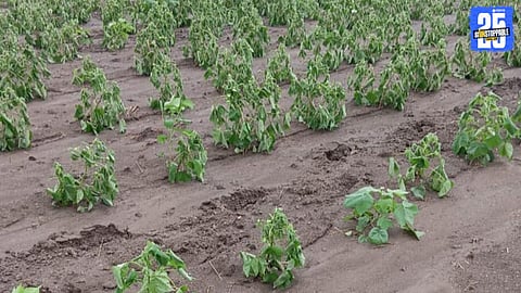 Monsoon Damage 