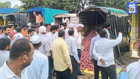 lasalgaon onion