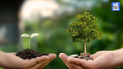 Tree Plantation