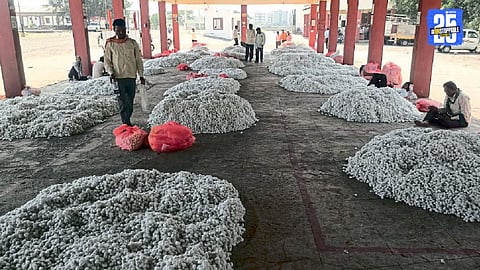 Beed Silk Hub