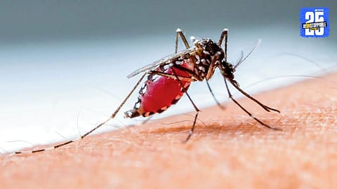 A health worker fumigates a mosquito-prone area in Mumbai amid a sharp rise in dengue, malaria, and chikungunya cases during the monsoon season.