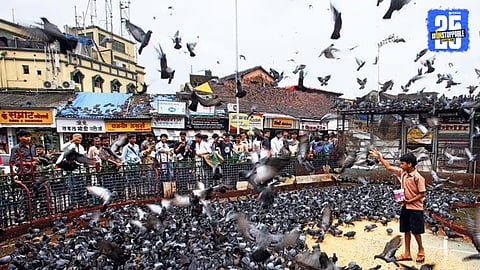 Kabutar khana