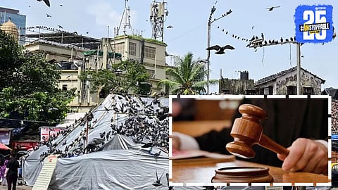 Bombay High Court upholds its decision to ban feeding of pigeons, prioritizing public health and civic cleanliness across urban areas.

