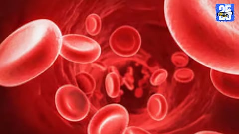 "Cardiovascular diseases remain the leading cause of death worldwide, with heart and blood pressure disorders on the rise."