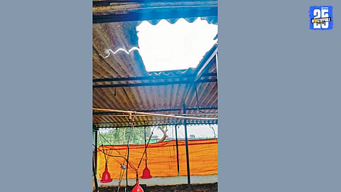 poultry farm