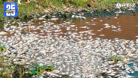 Mula River