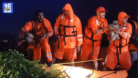 NDRF Team Turns Saviors for Monkeys