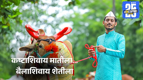 Bail Pola Marathi Wishes 2025: 