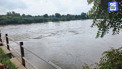 Villagers and farmers in Newasa taluka rejoice as Mula-Pravara water flows into fields, bringing relief amid weak rainfall.