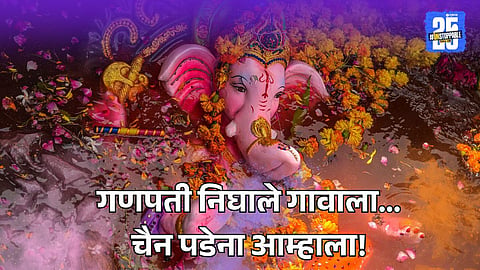 Ganesh Visarjan 2025 Health Precautions: 